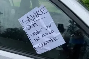 Briefje op je autoraam, tijd om de slangenvanger te bellen