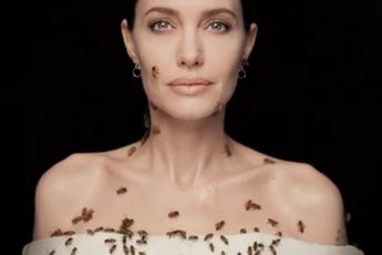 Angelina Jolie wil aandacht voor bijen