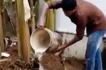 Even de King Cobra water geven