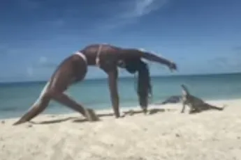 Yoga vrouwtje krijgt een beetje wat ze verdient van een Iguana