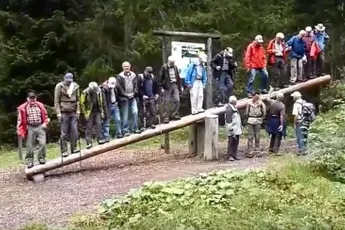 14 domme bejaarden beklimmen wip