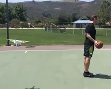 Project drone en half-court basketbal shot lukt bijna