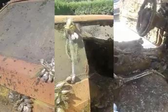 Fiat en bestuurder na jaren uit het water gevist