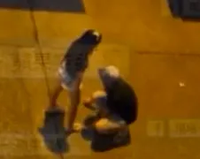 Smekend mannetje krijgt niet zijn zin van agressief vrouwtje