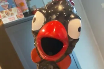 Trommelvlies irritatie met dank aan reuze rubber kip