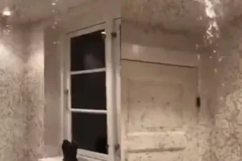 En dan denk jij last van muggen te hebben