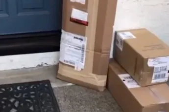 Slangenvanger mag even ratelslang achter pakketjes vandaan vissen