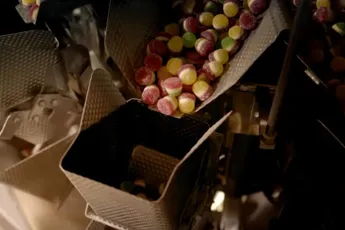 Van snoep tot varken