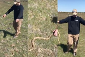 Gast laat zien hoe je 2 ratelslangen in een klap kapot kan maken