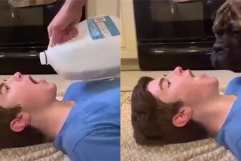 Speel zelf eens als drinkbak van je trouwe viervoeter