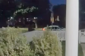 Beelden beveiligingscamera hondenoppas van Lady Gaga neergeschoten en 2 honden gestolen