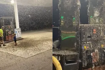 Benzinestation is helemaal bedekt met eendagsvliegen
