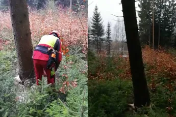 Beunhaas als boomkapper: "Van onderen!" Lekker gewerkt pik!