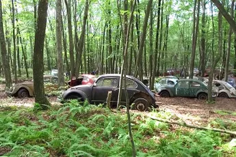 Bezoekje aan een Volkswagen Kever autokerkhof in Amerika