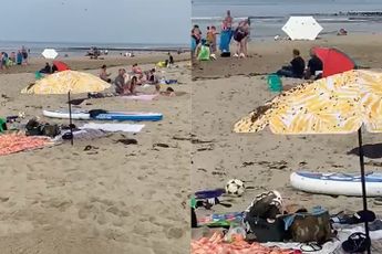 Bijen zorgen voor niet zo'n leuke stranddag op Texel