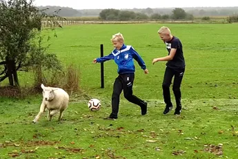 Boys Nieuw-Roden JO15-1 spelen partijtje met een schaap