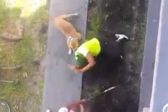 Boze vrouw warm onthaald met honkbalknuppel en hond