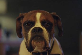 Buster de Boxer zorgt voor kerstgevoel in John Lewis kerst commercial 2016