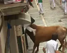 Dolle stier pakt 3 mensen tijdens Stierenrennen Pamplona