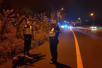 Dronken man slaapt roes uit op vluchtstrook van de A2