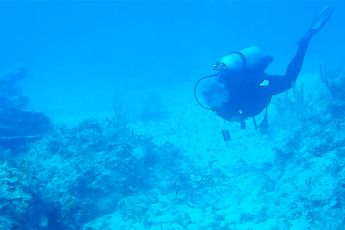 Duikers in de Bahama's horen actieve sonar van vermoedelijk een duikboot