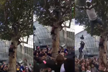 Fransman is knettergek na winnen WK en doet stage dive uit boom
