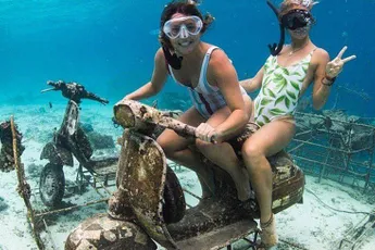 Gewoon een verzameling hilarische foto's #1128
