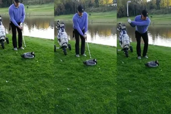 Golfer in Finland maakt einde aan leven van gans