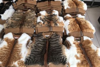 Heb jij al een jas van kattenvacht gekocht op AliExpress?