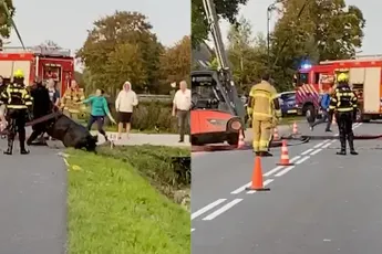 Heftruck valt om dat werd gebruikt om paard uit sloot te redden