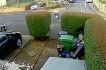 Hek gebogen, dus toch even kijken op bewakingscamera naar de oorzaak