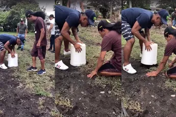 Hey pik, zit een beest onder deze emmer en jij moet het vangen!