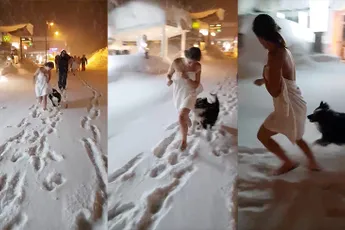 Hond probeert handdoek van meisje in de sneeuw af te pakken