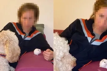 Hondje maakt kennis met hamster: Dat doet hij anders nooit