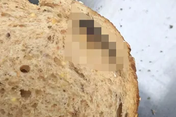 Iemand trek in een lekkere bruine boterham met muis?