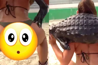 Instagram model Francia James doet workout met alligator