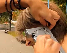 Jackass in moedertje Rusland Part 3, 4 en 5