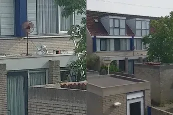 Kansloos: Buurman vindt BBQ stinken en neemt maatregelen
