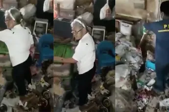 Kattenvrouwtje woont ook samen met duizenden kakkerlakken