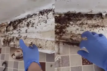 Keuken is zo vies, daar zouden we niet graag een eitje maken