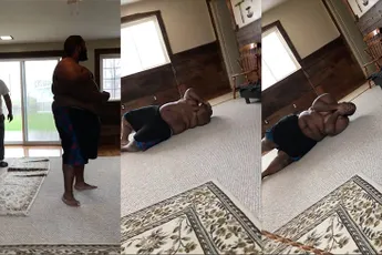 Klap met een zweep doet toch best pijn