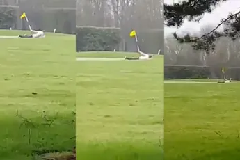 Knettergek: Man heeft seks met vlaggenstok op golfbaan