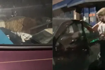 Krioelt van de kakkerlakken in Uber Eats auto in Atlanta