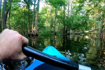 Krokodil valt kayakker aan in North Carolina
