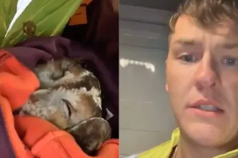 Man rijdt uil aan, wil het beestje redden, maar krijgt dan een verrassing