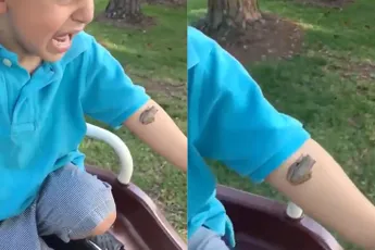 Mannetje heeft een trauma voor het leven door een kikker