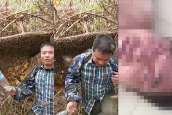 Moeder Karma grijpt keihard in bij man die bijen pest