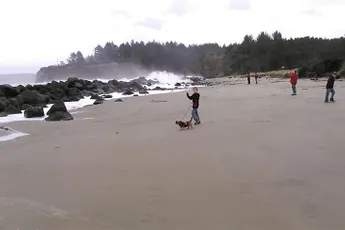 Moesten mensen in Coos Bay Oregon toch even rennen voor een Sneaker Wave