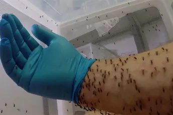 NOPE NOPE NOPE: Hoe voer je muggen?