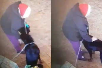 Oma wil hondje aaien, maar beestje pakt verkeerde signalen op